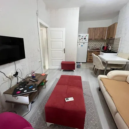 A New Nice House With Garden In City Center